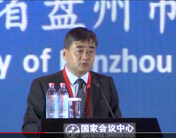 吴胜卫--第十届中国对外投资洽谈会开幕式演讲
